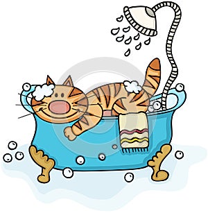 Cute cat in bathtub with shower