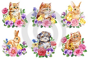 Cute cat, bunny, dog and chick with spring flowers, baby animal on white background. Watercolor red kitten