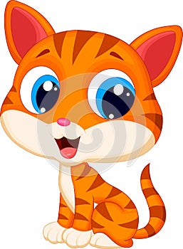 Cute cat cartoon