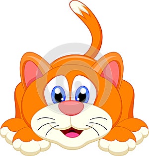 Cute cat cartoon character