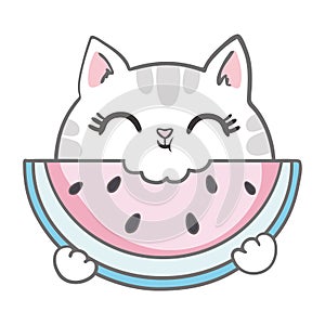 Cute Cat Cartoon Drawing with Fruit Watermelon Summer Banner Background