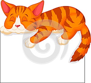 Cute cat cartoon sleeping