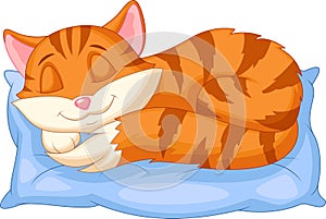 Cute cat cartoon sleeping on a pillow