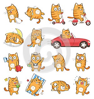 Cute cat character with different emotions. photo