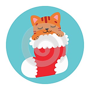 Cute cat in a Christmas stocking. Happy Holidays. Winter animal. Vector illustration.