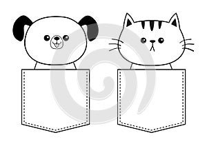 Cute cat dog in the pocket. Doodle contour linear sketch. Cartoon animals. Kitten kitty character. Dash line. Pet animal. White an