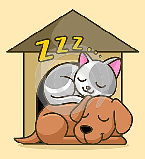 cute cat and dog sleeping in front of the cage