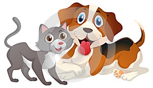 Cute cat and dog on white background