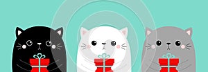Cute cat face head set. Gift box. Kawaii animal. Gray Black White silhouette. Cute cartoon kitten. Funny baby sad kitty. Happy