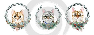 Cute cat faces with winter time floral wreath set. Watercolor illustration. Hand drawn funny kittens with winter decor