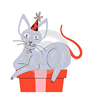 Cute cat on gift box