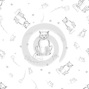 A cute cat in grey color with toys and mouse.