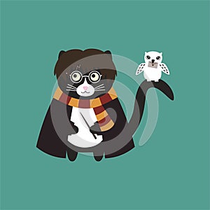 Cute cat Harry Potter. Fan art J.K. Rowling