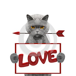 Cute cat holding dart and frame with love