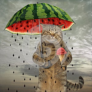 Cat with umbrella 1