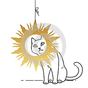 Cute cat peeking into the frame in the shape of the sun. Vector illustration