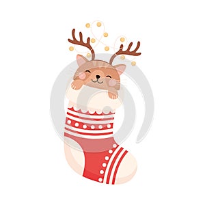 Cute Cat Pet Wearing Deer Antlers Peeped Out Christmas Stocking Vector Illustration
