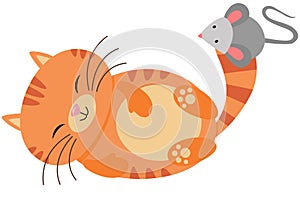 Cute cat playing with mouse on its tail