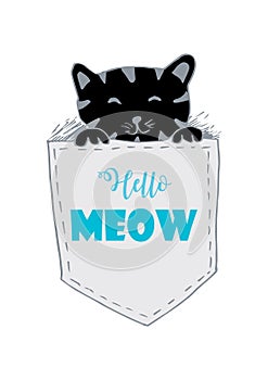 Cute cat in the pocket with word hello meow.