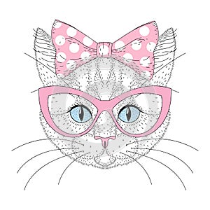 Cute cat portrait with pin up bow tie on head, sunglasses. Hand