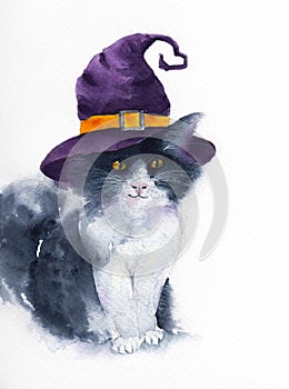The cute cat with purple witch hat.