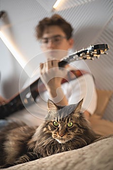 Cute cat relaxing near male playing electric guitar art hobby on couch at home