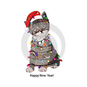 Cute cat with Santa Claus hat and light bulb. Happy new year greeting card