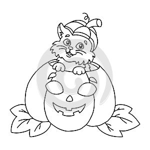 Cute cat sits in a pumpkin. Halloween theme. Coloring book page for kids. Cartoon style. Vector illustration isolated on white