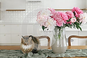 Cute cat sitting at beautiful peonies in vase on wooden table on background of stylish modern white kitchen in new scandinavian