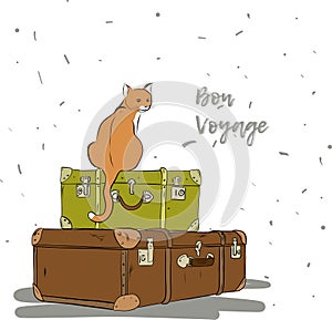 Cute cat sitting on the couple of suitcases, bon voyage illustration photo