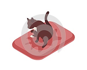 Cute cat sitting in tray over puddle of urine vector isometric illustration. Funny feline domestic animal on the pillow