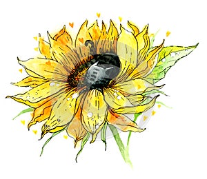 A cute cat that sleeps on a sunflower. Watercolor illustration, handwork