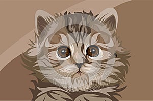 Cute cat vector