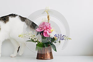 Cute cat walking at summer flowers bouquet in vintage vase on white  table. Home decor and pet. Curious kitty paws at stylish