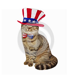 Cat patriot 2 photo