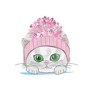 Cute cat in a winter hat with bubo
