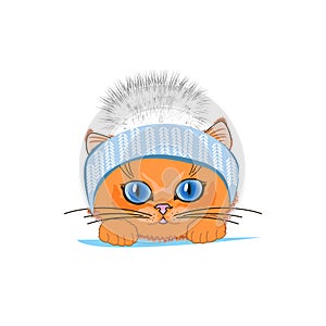 Cute cat in a winter hat with bubo