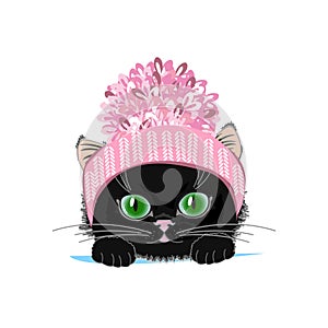 Cute cat in a winter hat with bubo