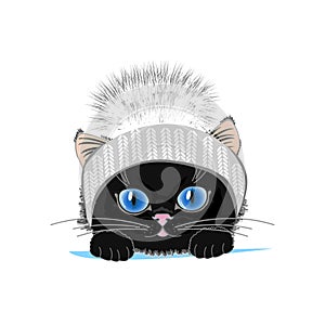 Cute cat in a winter hat with bubo