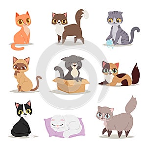 Cute cats character different pose vector