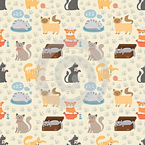 Cute cats character different pose vector seamless pattern