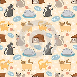 Cute cats character different pose vector seamless pattern