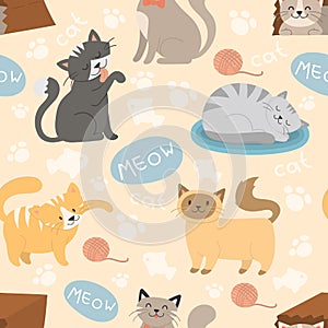 Cute cats character different pose vector seamless pattern