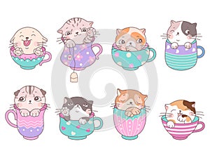 Cute cats in cup. Kitten coffee cups, cartoon isolated kitty in tea mug. Kawaii adorable animals, baby sweet stickers