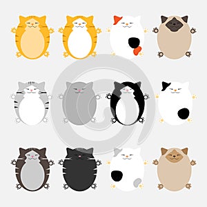 Cute cats in different colors, Vector cartoon flat illustration, Funny playful, print for textiles, packaging, t-shirt