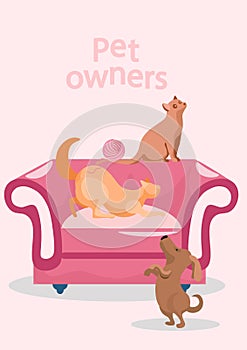 Cute cats and dog near the armchair with pet owners lettering vector illustration in pastel colours