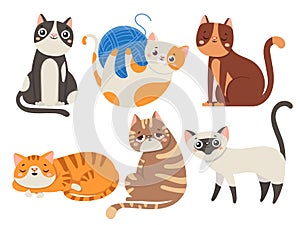 Cute cats. Fluffy cat, sitting kitten character or domestic animals isolated vector illustration collection