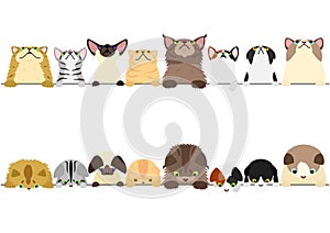 Cute cats looking up and down border set
