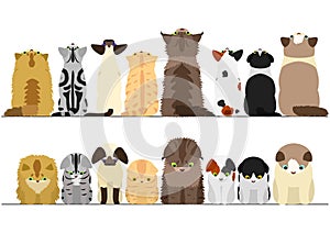 Cute cats looking up and down border set