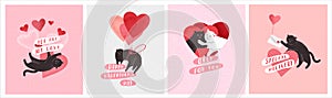 Cute cats in love. Romantic Valentines Day greeting card or poster. Cat give heart, cople cats, with love envelope, hero